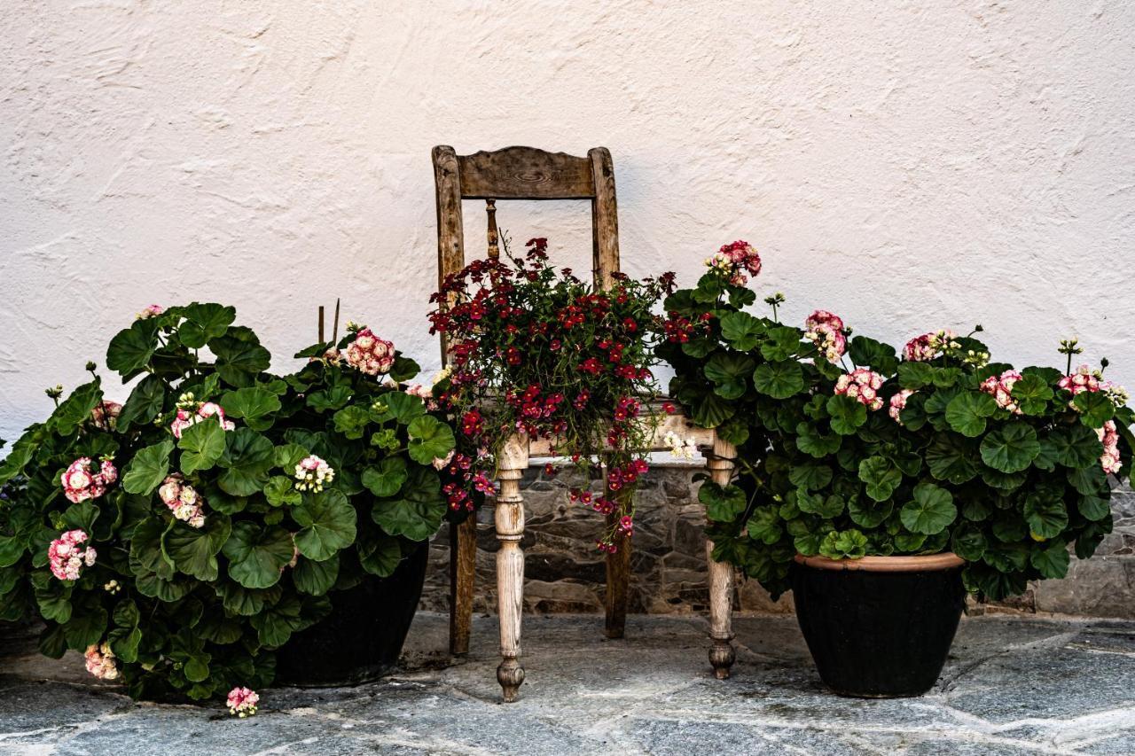Biobauernhof Gast Mariapfarr Exterior foto